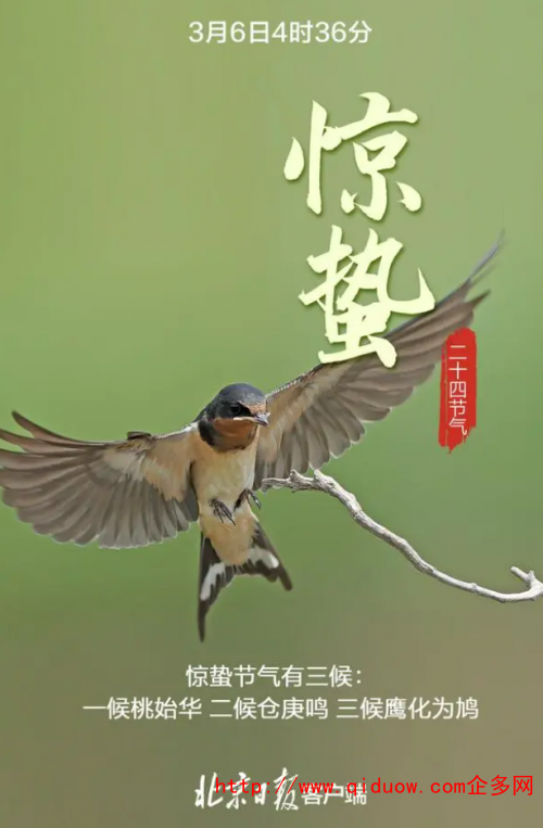 QQ圖片20230306100813