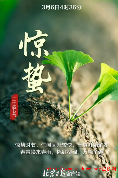 QQ圖片20230306100853